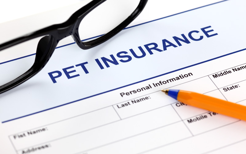 Pet-insurance