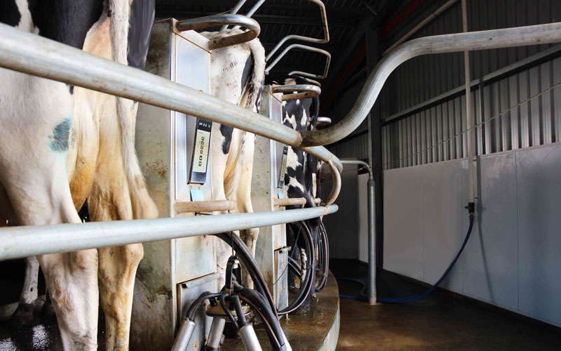 Rotarydairy