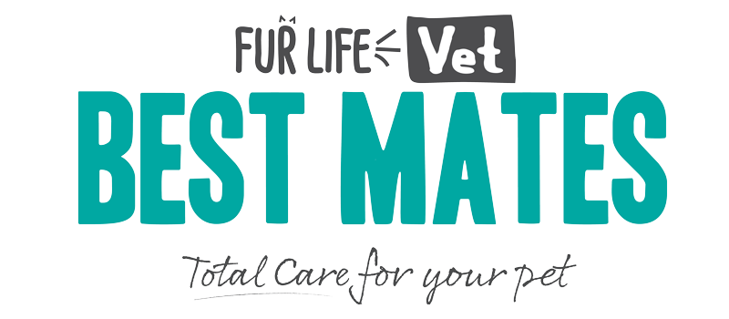 best-mates-logo