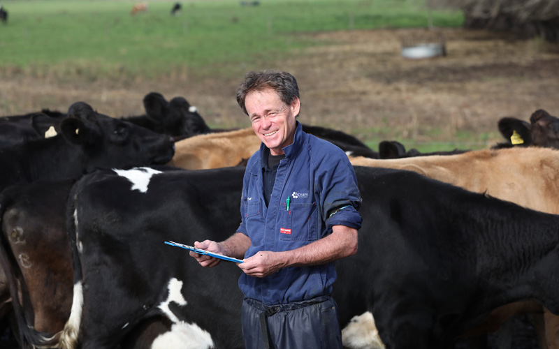 herd-health-programs