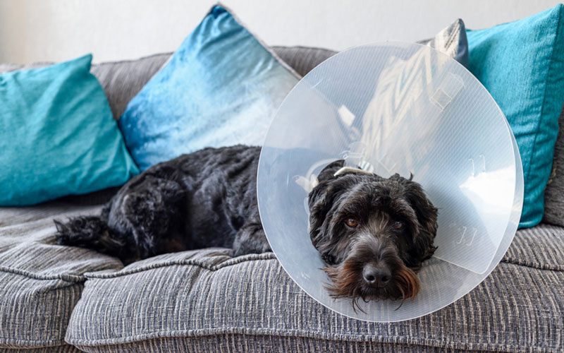 post_surgery