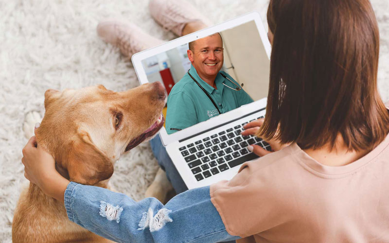 telemedicine